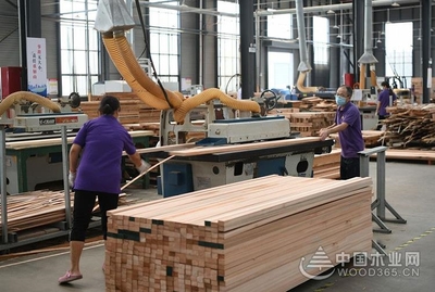 宿遷宿城區高質量推進木材加工和家具制造產業轉型升級