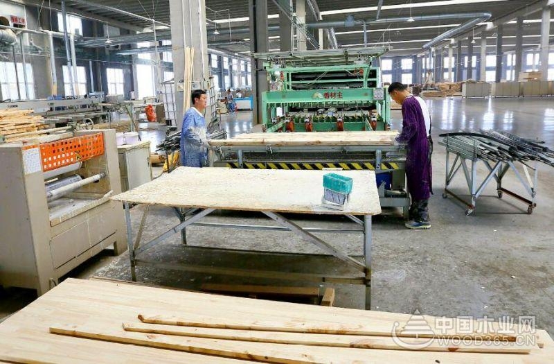 山東壽光年木材加工能力300萬立方米